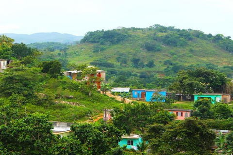 From Montego Bay: Nine Mile Reggae Journey with Island Lunch