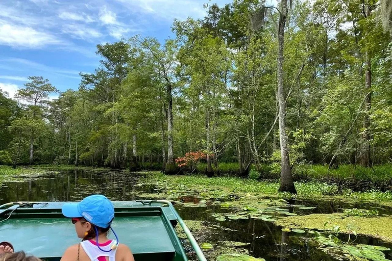 New Orleans: Signature Swamp Eco Tour with Local Guide Signature Swamp Private Eco Tour with Transportation