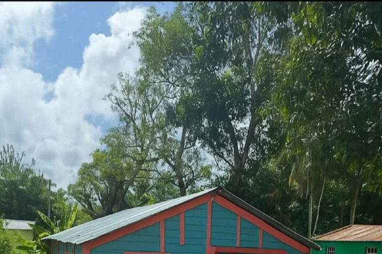 Puerto Plata: Buggy Adventure in the Countryside and Stop at the Beach