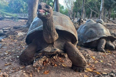 Quinta das Especiarias, Ilha da Prisão e Banco de Areia de Nakupenda