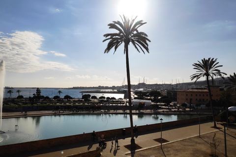 Drach Caves and Palma or Beach Retreat – Full-Day Tour