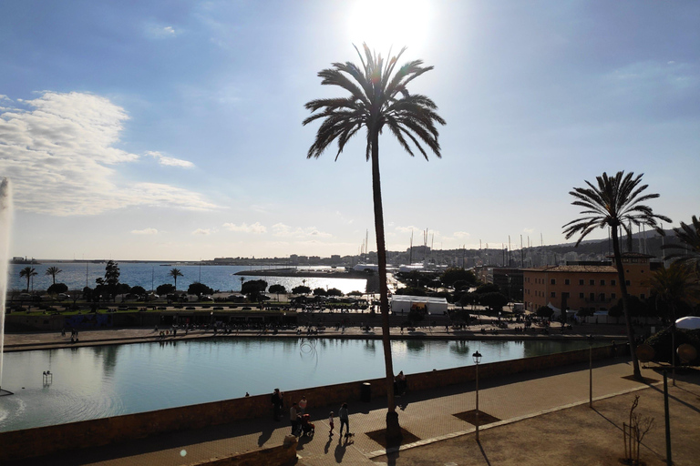 Drach Caves and Palma or Beach Retreat – Full-Day Tour