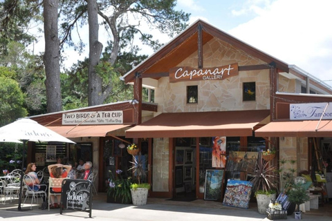 Excursion dans les montagnes de Tamborine