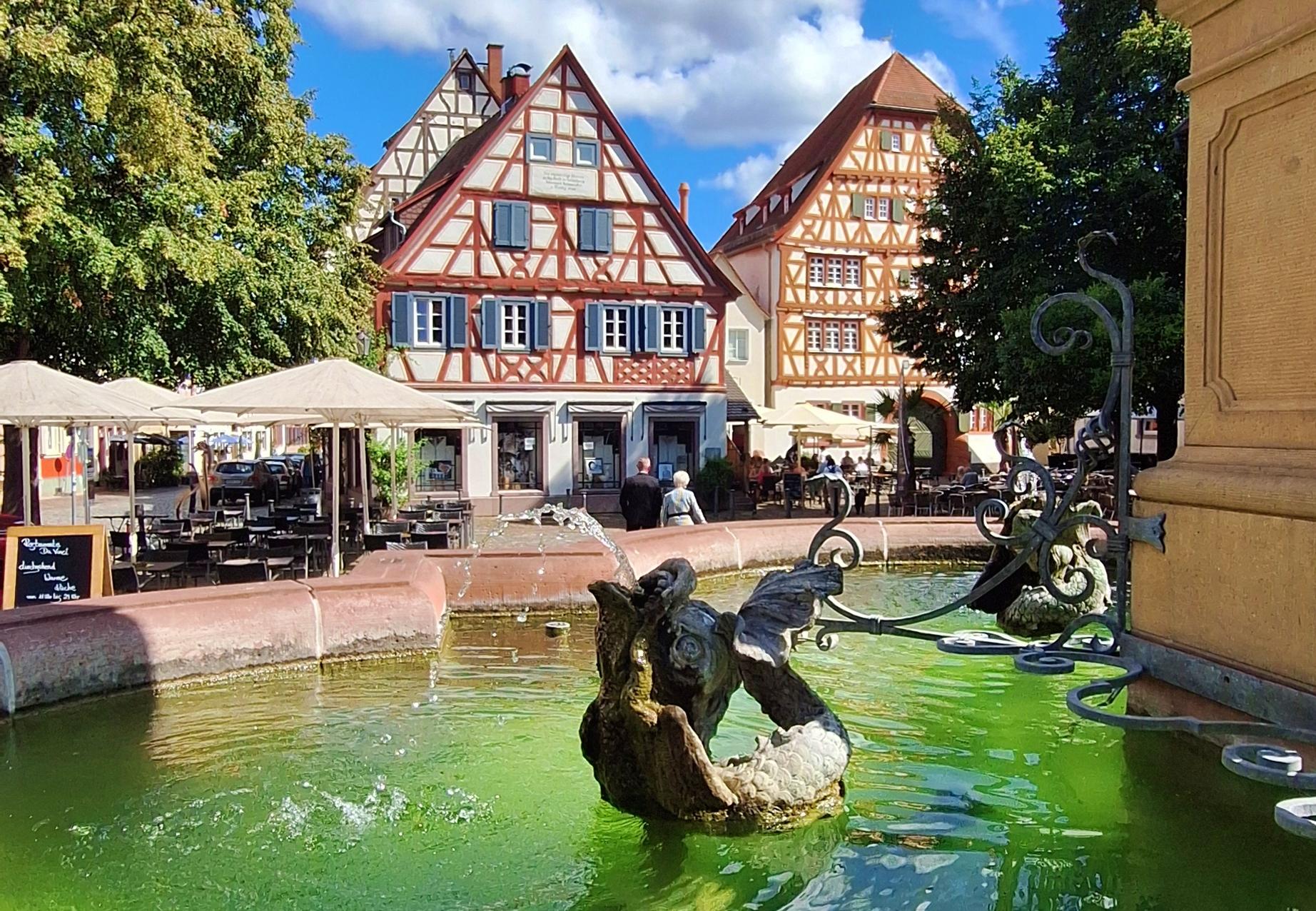 Heidelberg: Neckar, Römer, Fachwerk - eine Zeitreise nach Ladenburg