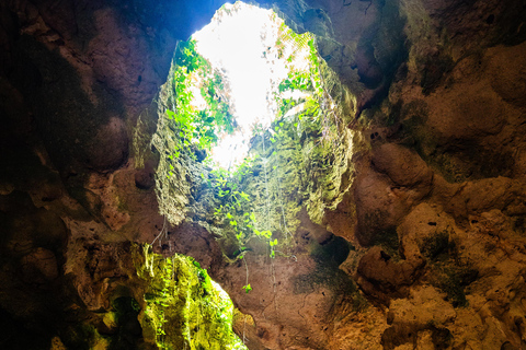 Zanzibar Secret Beach,Jozani and Ngonga Cave with transfer