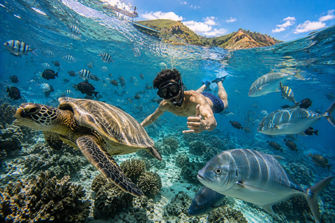 Labuan Bajo: 6 Island Komodo Speedboat Day Trip & Snorkeling