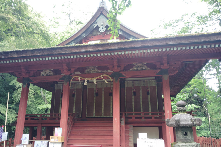 Nara: Explore Tanzan Shrine’s Pagoda and Sacred History