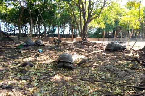 Zanzibar: tour guidato dell'isola prigione con guida localeZanzibar: tour guidato dell'isola prigione con una guida locale