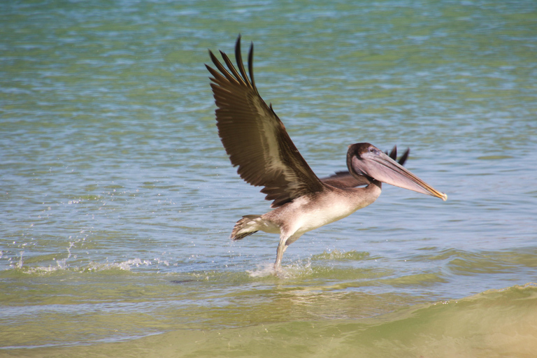 Z Puerto Ayora: Santa Fe Island Snorkeling Day Tour