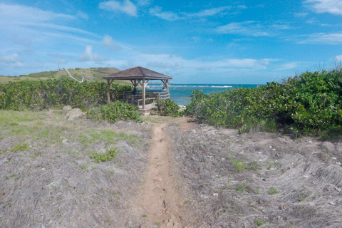 Saint Martin: Pinel Island Geführte Tour mit FährfahrtSaint Martin: Geführte Tour zur Insel Pinel mit Fährfahrt