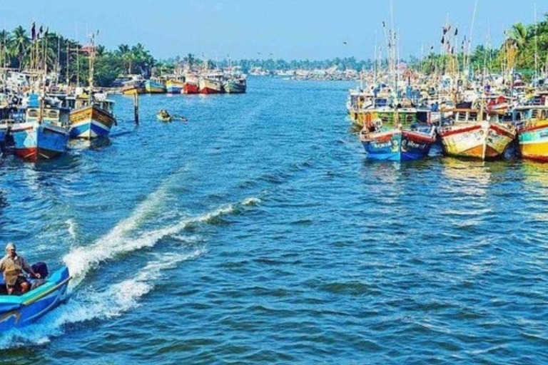 Negombo: ¡Excursión de pesca en la laguna desde el puerto de Colombo!