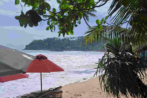From Kalutara Bentota beruwala Tea, Ports & Culture Tour