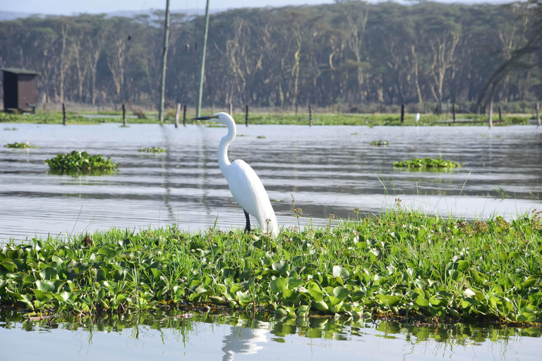 Lake Naivasha Tour: Kayak, Bike & Hike Through Hell's Gate! Lake Naivasha and Hell's Gate (from Naivasha)