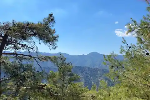 From Ayia Napa, Limassol: Troodos Mountains Private Day Trip