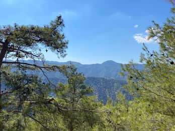 From Ayia Napa, Limassol: Troodos Mountains Private Day Trip