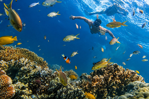 Cebu: 2-Day Camping, Kawasan & Moalboal Adventure