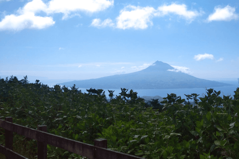 Faial Island: Personlig rundtur med Pic Nic