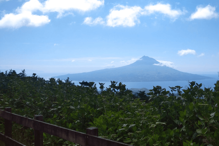 Faial Island: Personlig rundtur med Pic Nic