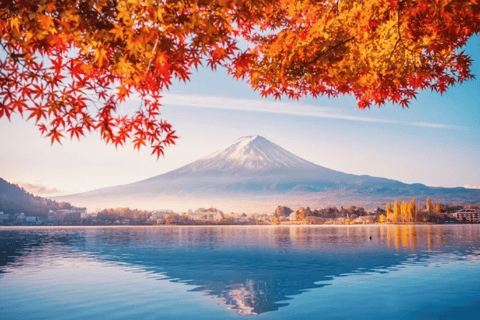Wycieczka na górę Fuji: jezioro Kawaguchi, świątynia, wioska uzdrowiskowa i pagoda8:30 Wyjazd ze stacji Shinjuku — bez lunchu