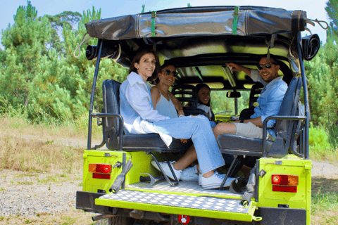 Il punto di vista di Valmiñor