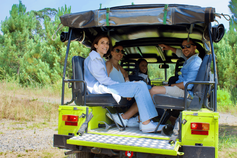 Il punto di vista di Valmiñor