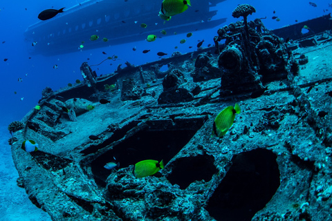 Oahu: Waikiki Undersea Adventure Submarine TourOahu: Premium onderzeeërtour