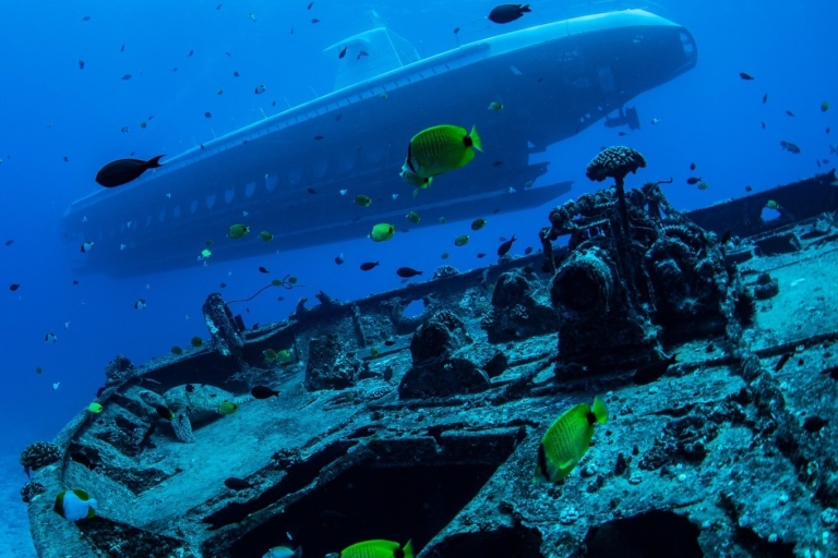 Oahu: wycieczka łodzią podwodną Waikiki Undersea AdventureOahu: wycieczka łodzią podwodną premium