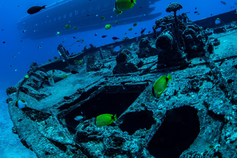 Oahu : Visite du sous-marin de Waikiki