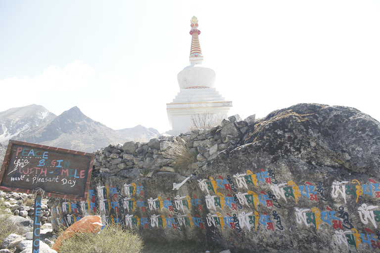 From Kathmandu: 9 Days 8 Nights Langtang Trek