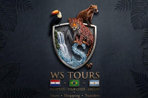 Foz Do Iguacu: Private VIP Tour With Multilingual Guide