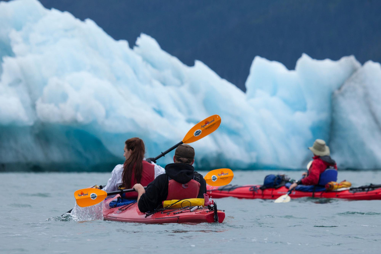 Valdez: Columbia Glacier Sea Kayak Day Tour