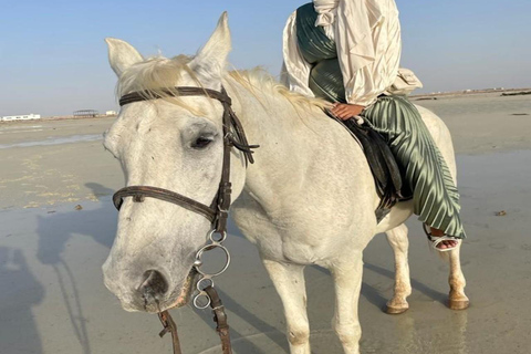 Doha: Private 3 hr adventure with Arabian Horses and Falcon