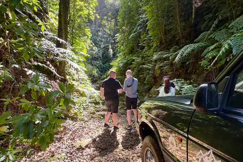 Onthul West-Madeira: 4x4-kliffen, zwembaden en uitzichten4x4 jeeptours van een hele dag op het eiland Madeira