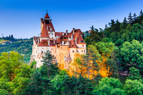 Bucareste: Excursão de 1 dia ao Castelo de Peles, Castelo de Bran e Brasov