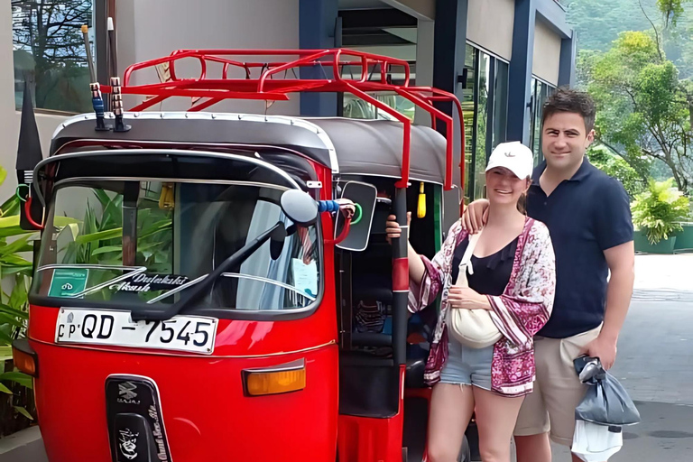 Tour della città di Kandy e tour dello Sri Lanka