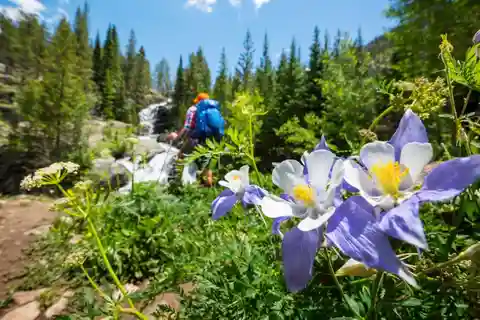 Breckenridge, CO: Caminhada cênica guiada de meio dia