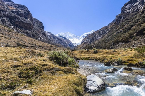 From Ancash: Full day hike to Llaca Creek and Llaca Lagoon