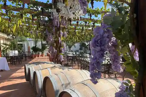 Ulignano : Dîner ou déjeuner avec dégustation de vin sur la véranda
