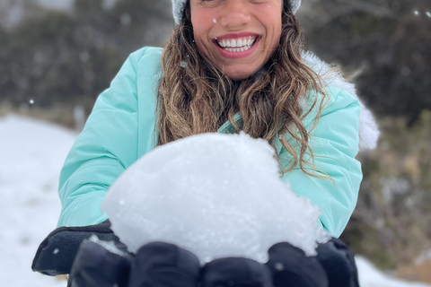 From Sydney: 1-Day Thredbo Snow Adventure