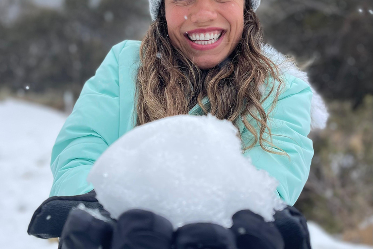 From Sydney: 1-Day Thredbo Snow Adventure