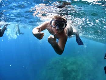 Medes-eilanden: Snorkelen in het prachtige natuurpark