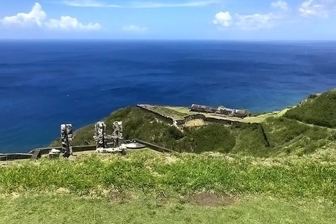 Grupo de excursão de meio dia em Basseterre