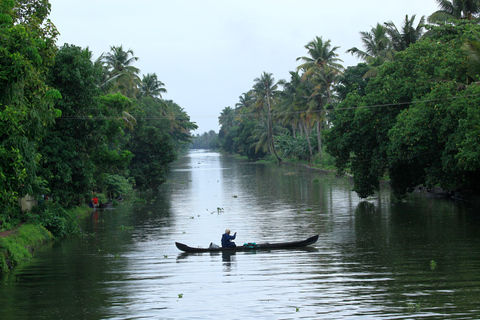 From Kochi: Alleppey Houseboat Cruise with Meals & Transfers
