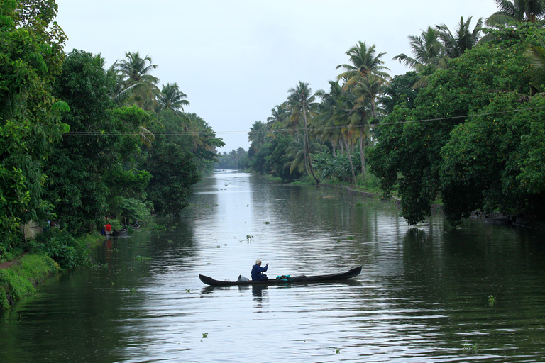 From Kochi: Alleppey Houseboat Cruise with Meals & Transfers