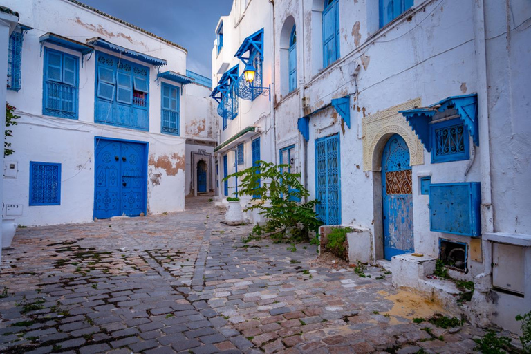 Unveiling the Beauty of Sidi Bou Said & Carthage