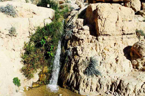 Tel Aviv/Jerusalem: Masada, Ein Gedi & Dead Sea Private Tour