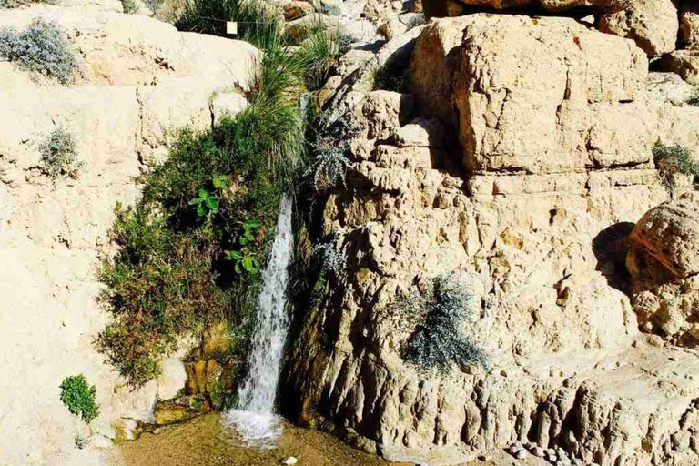 Tel Aviv/Jerusalem: Masada, Ein Gedi & Dead Sea Private Tour