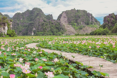 Ninh Binh: Hoa Lu, Tam Coc, Fietsen Groepstour vanuit Hanoi