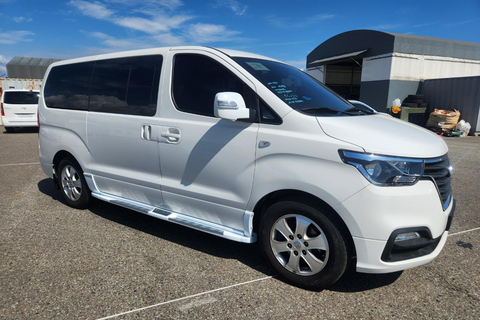 Puerto Plata: Off-Road Buggy Tour with River