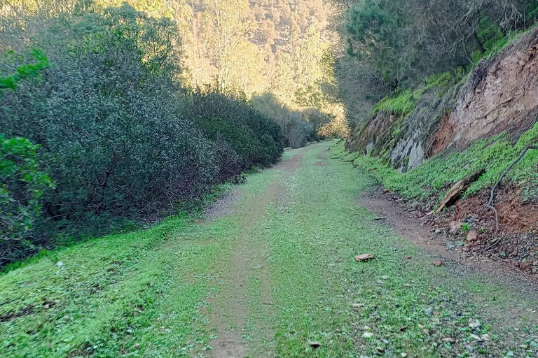 Hiking Ain Dakhla Benslimane: Mountains, Flavors & Folklore